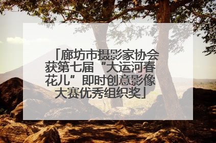 廊坊市摄影家协会获第七届“大运河春花儿”即时创意影像大赛优秀组织奖