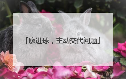 廖进球，主动交代问题