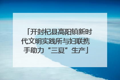 开封杞县高阳镇新时代文明实践所与妇联携手助力“三夏”生产