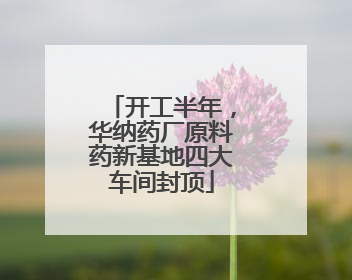 开工半年，华纳药厂原料药新基地四大车间封顶