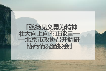 弘扬见义勇为精神 壮大向上向善正能量——北京市政协召开调研协商情况通报会