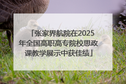 张家界航院在2025年全国高职高专院校思政课教学展示中获佳绩