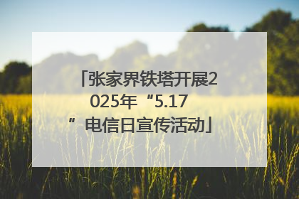 张家界铁塔开展2025年“5.17”电信日宣传活动