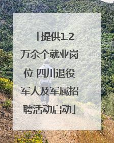提供1.2万余个就业岗位 四川退役军人及军属招聘活动启动