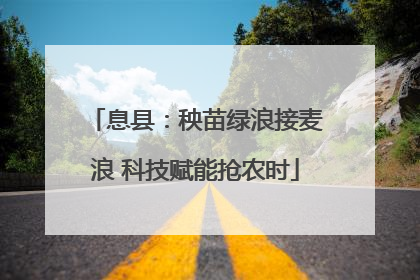 息县：秧苗绿浪接麦浪 科技赋能抢农时