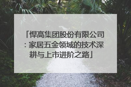 悍高集团股份有限公司：家居五金领域的技术深耕与上市进阶之路