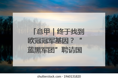 意甲｜终于找到欧冠冠军基因？“蓝黑军团”聘请国米名宿齐沃执教