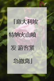 意大利埃特纳火山喷发 游客紧急撤离