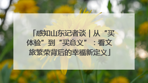 感知山东记者谈｜从“买体验”到“买意义”：看文旅繁荣背后的幸福新定义