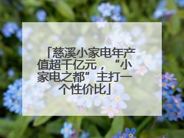 慈溪小家电年产值超千亿元，“小家电之都”主打一个性价比
