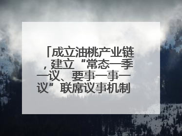 成立油桃产业链，建立“常态一季一议、要事一事一议”联席议事机制，山东省日照市莒县果庄镇——13个党小组“全周期”育果