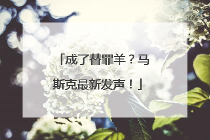 成了替罪羊？马斯克最新发声！