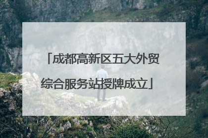 成都高新区五大外贸综合服务站授牌成立
