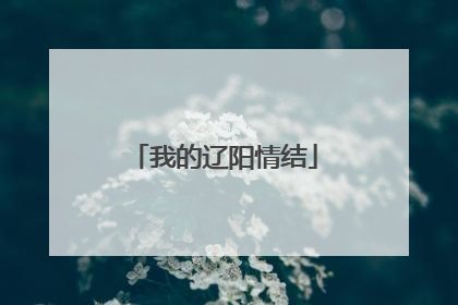 我的辽阳情结