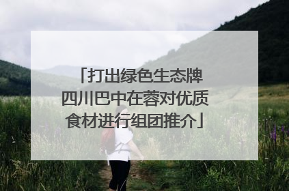 打出绿色生态牌 四川巴中在蓉对优质食材进行组团推介