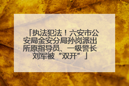 执法犯法！六安市公安局金安分局孙岗派出所原指导员、一级警长刘军被“双开”