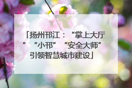 扬州邗江：“掌上大厅”“小邗”“安全大师”引领智慧城市建设