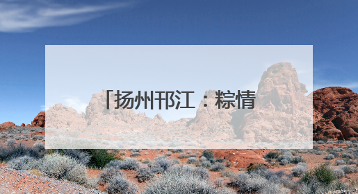扬州邗江：粽情端午 爱满东兴