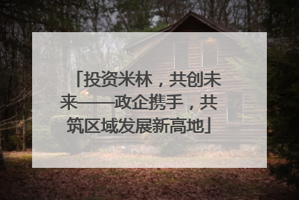 投资米林，共创未来——政企携手，共筑区域发展新高地
