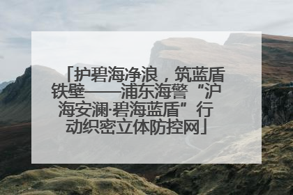 护碧海净浪，筑蓝盾铁壁——浦东海警“沪海安澜·碧海蓝盾”行动织密立体防控网