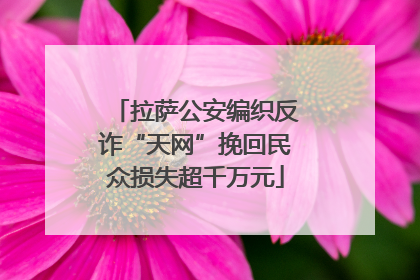 拉萨公安编织反诈“天网”挽回民众损失超千万元