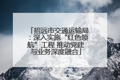 招远市交通运输局：深入实施“红色领航”工程 推动党建与业务深度融合