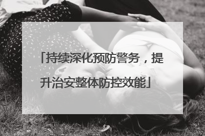 持续深化预防警务，提升治安整体防控效能