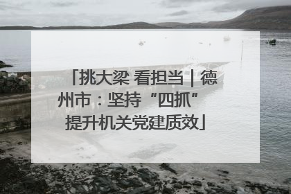 挑大梁 看担当｜德州市：坚持“四抓” 提升机关党建质效