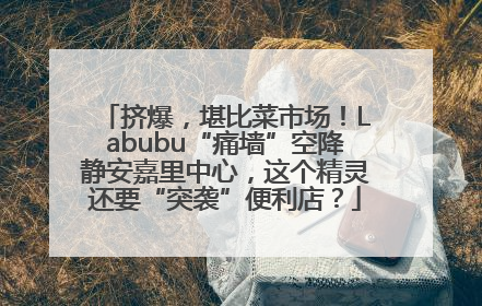 挤爆，堪比菜市场！Labubu“痛墙”空降静安嘉里中心，这个精灵还要“突袭”便利店？