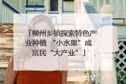 柳州乡镇探索特色产业种植 “小水果”成富民“大产业”