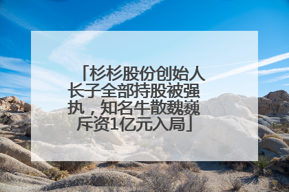 杉杉股份创始人长子全部持股被强执，知名牛散魏巍斥资1亿元入局
