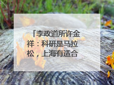 李政道所许金祥：科研是马拉松，上海有适合的跑道｜扎根上海，从0到1