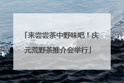 来尝尝茶中野味吧！庆元荒野茶推介会举行