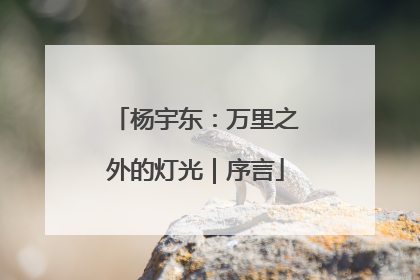 杨宇东：万里之外的灯光｜序言