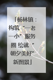 杨林镇：构筑“一老一小”服务圈 绘就“朝夕美好”新图景