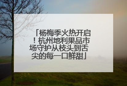 杨梅季火热开启！杭州地利果品市场守护从枝头到舌尖的每一口鲜甜