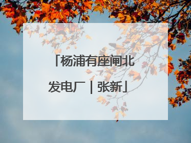 杨浦有座闸北发电厂｜张新