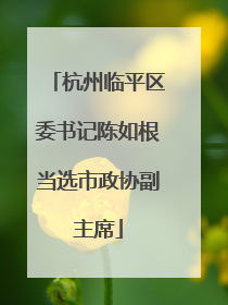 杭州临平区委书记陈如根当选市政协副主席