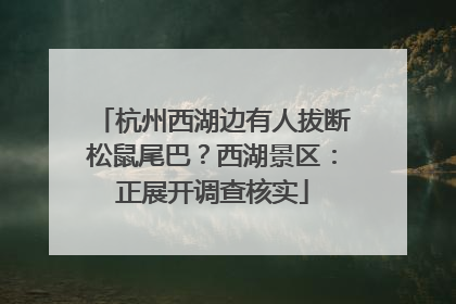 杭州西湖边有人拔断松鼠尾巴？西湖景区：正展开调查核实