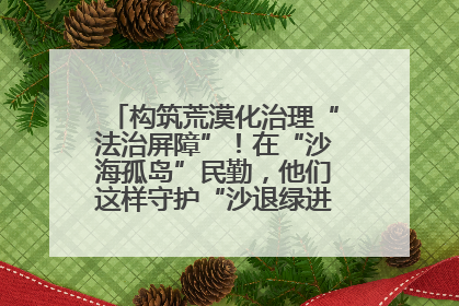 构筑荒漠化治理“法治屏障”！在“沙海孤岛”民勤，他们这样守护“沙退绿进”的生态奇迹