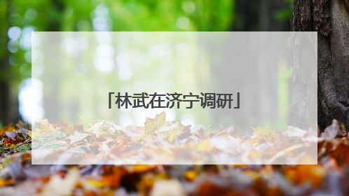 林武在济宁调研