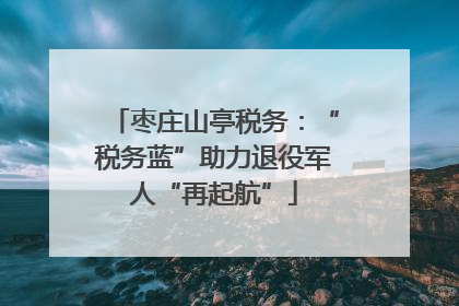 枣庄山亭税务：“税务蓝”助力退役军人“再起航”