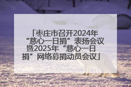 枣庄市召开2024年“慈心一日捐”表扬会议暨2025年“慈心一日捐”网络募捐动员会议