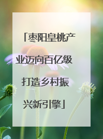枣阳皇桃产业迈向百亿级 打造乡村振兴新引擎