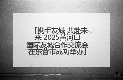 携手友城 共赴未来 2025黄河口国际友城合作交流会在东营市成功举办