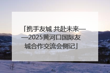 携手友城 共赴未来——2025黄河口国际友城合作交流会侧记