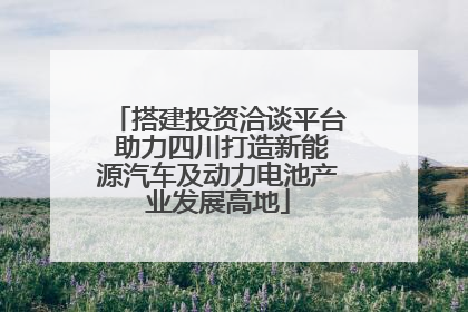 搭建投资洽谈平台 助力四川打造新能源汽车及动力电池产业发展高地