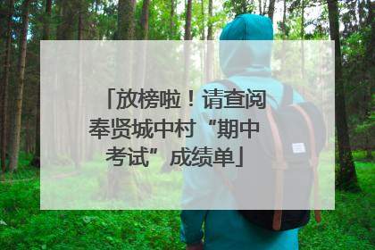 放榜啦！请查阅奉贤城中村“期中考试”成绩单