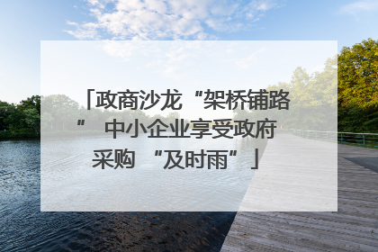 政商沙龙“架桥铺路” 中小企业享受政府采购 “及时雨”