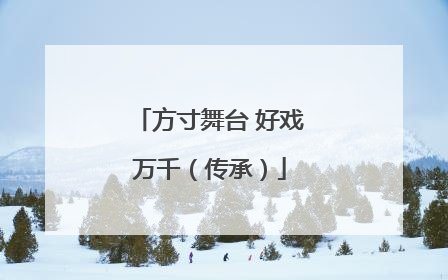 方寸舞台 好戏万千（传承）